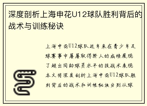 深度剖析上海申花U12球队胜利背后的战术与训练秘诀