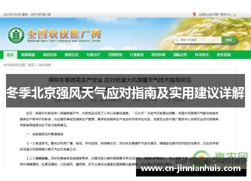 冬季北京强风天气应对指南及实用建议详解