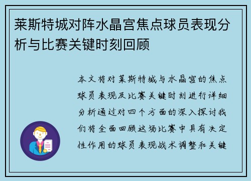 莱斯特城对阵水晶宫焦点球员表现分析与比赛关键时刻回顾